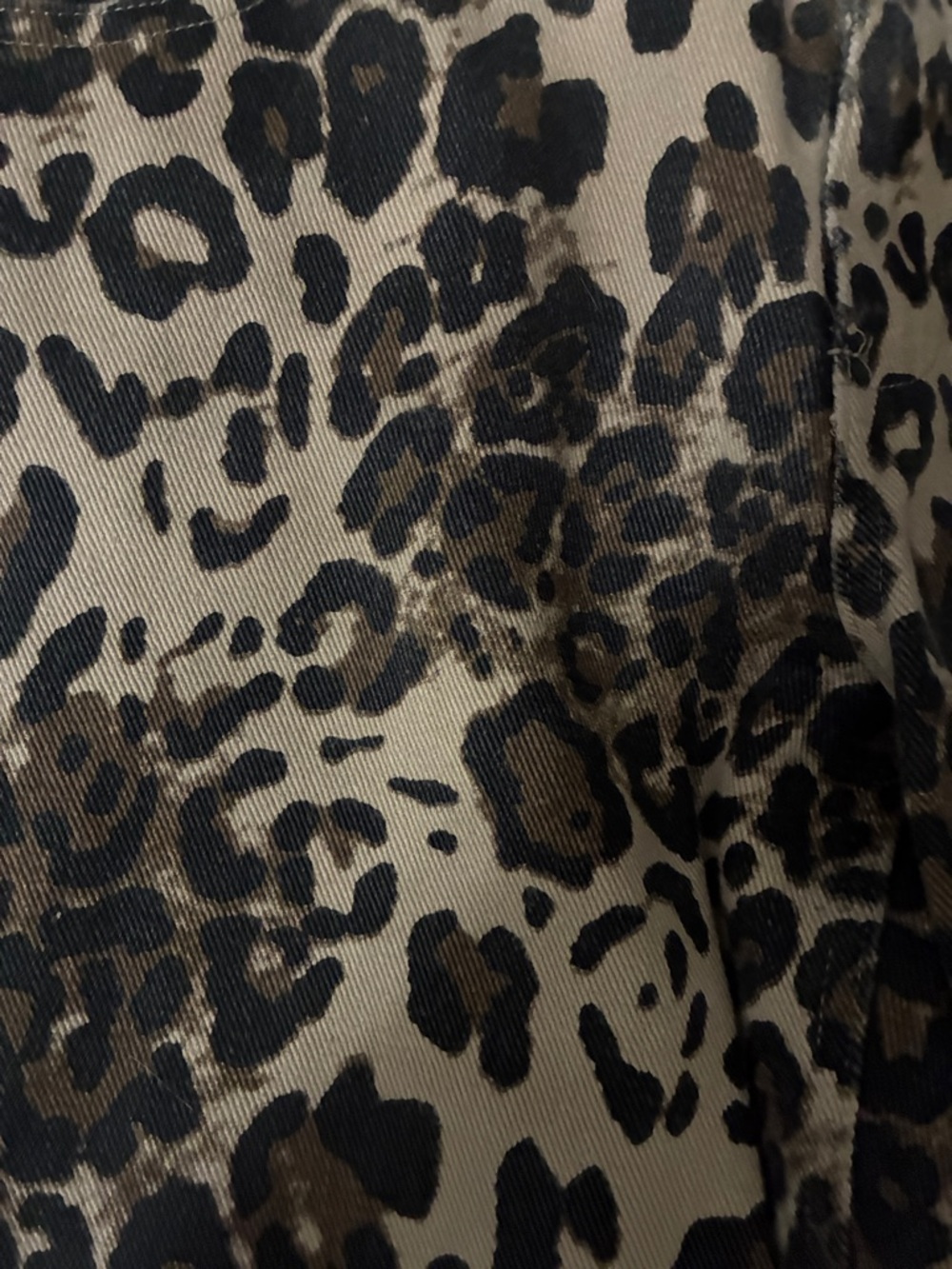 Leopard Print Wide-Leg Pants - Neutral Tones - Picture 3 of 6